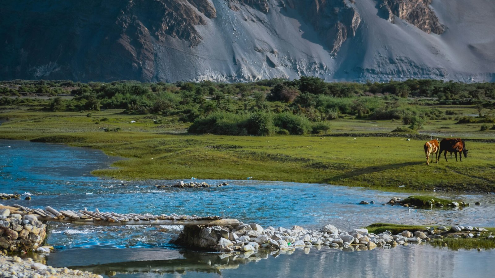 Snow-capped peaks of the Ladakh mountains