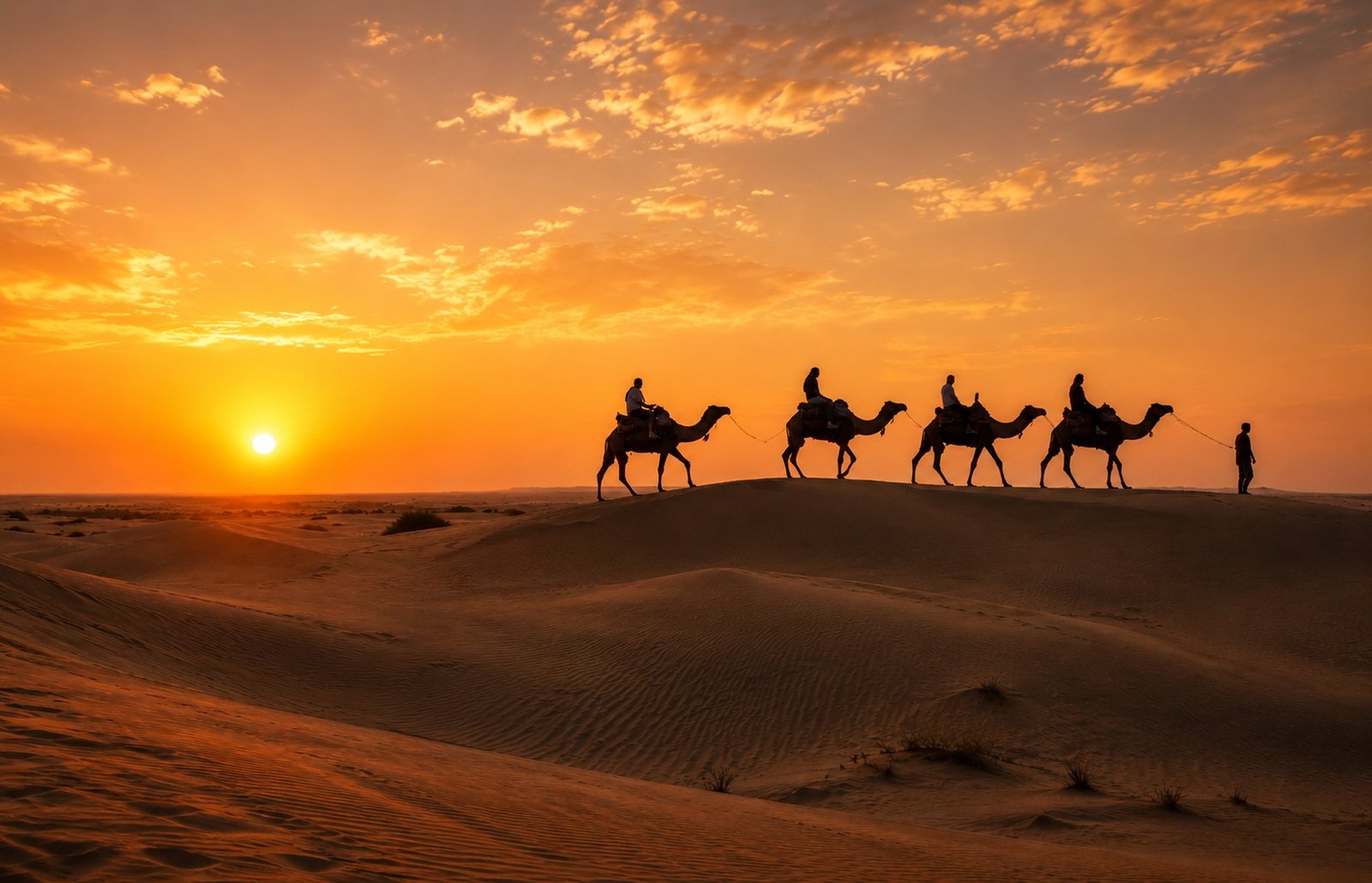 Camel silhouettes on the Sam sand dunes at sunset in the Thar Desert