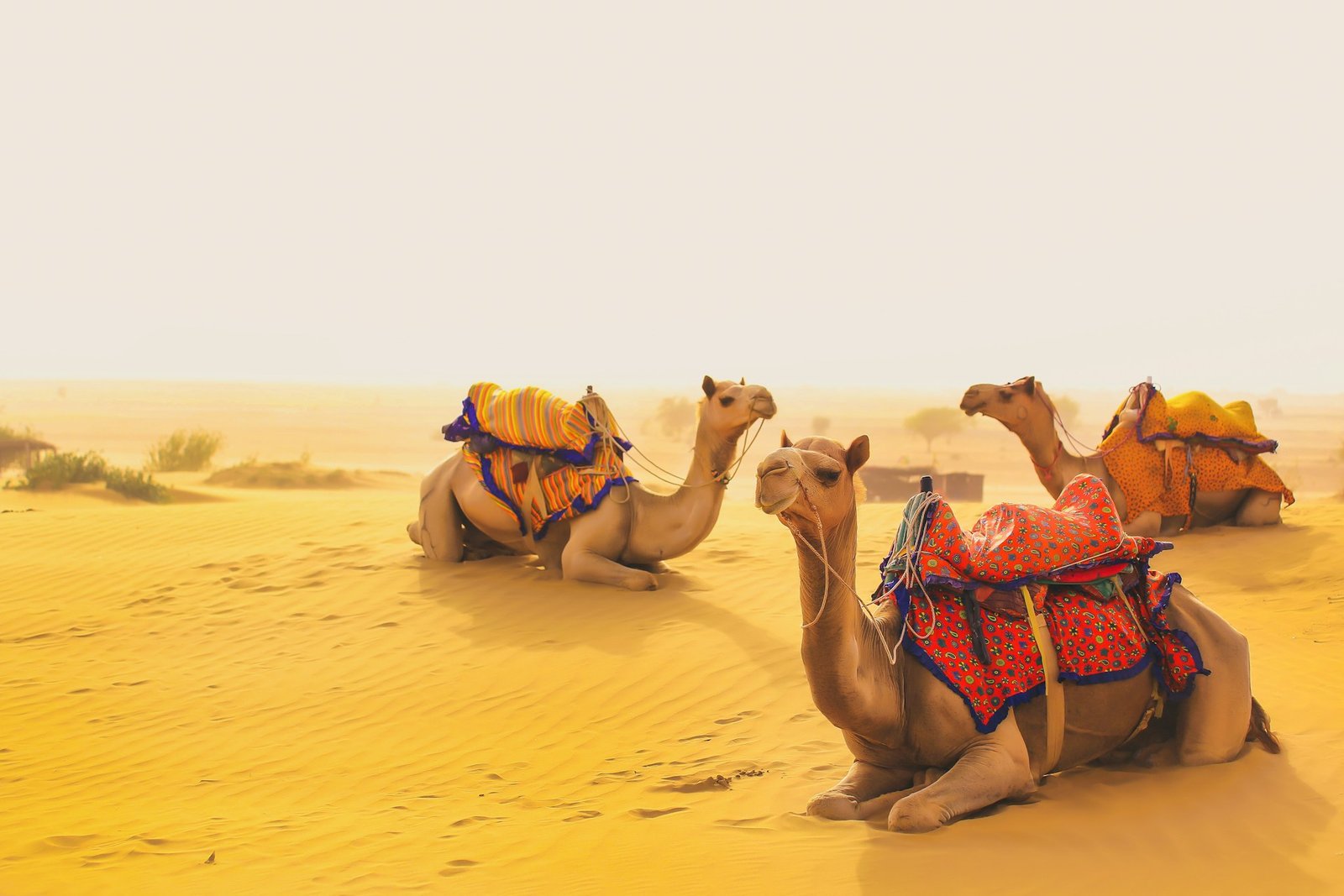 Rajasthan heritage travel planning