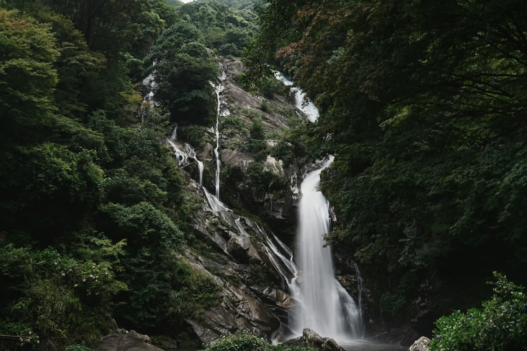 Forest waterfall in Pachmarhi, Satpura hills, Madhya Pradesh