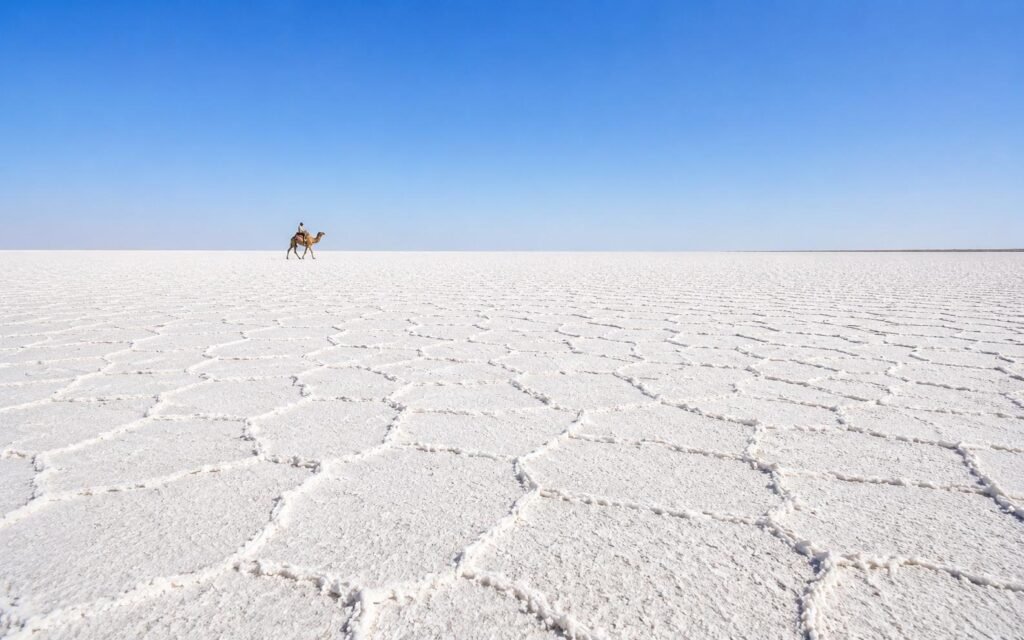 A lone camel crossing the white salt desert of the Great Rann of Kutch, Gujarat