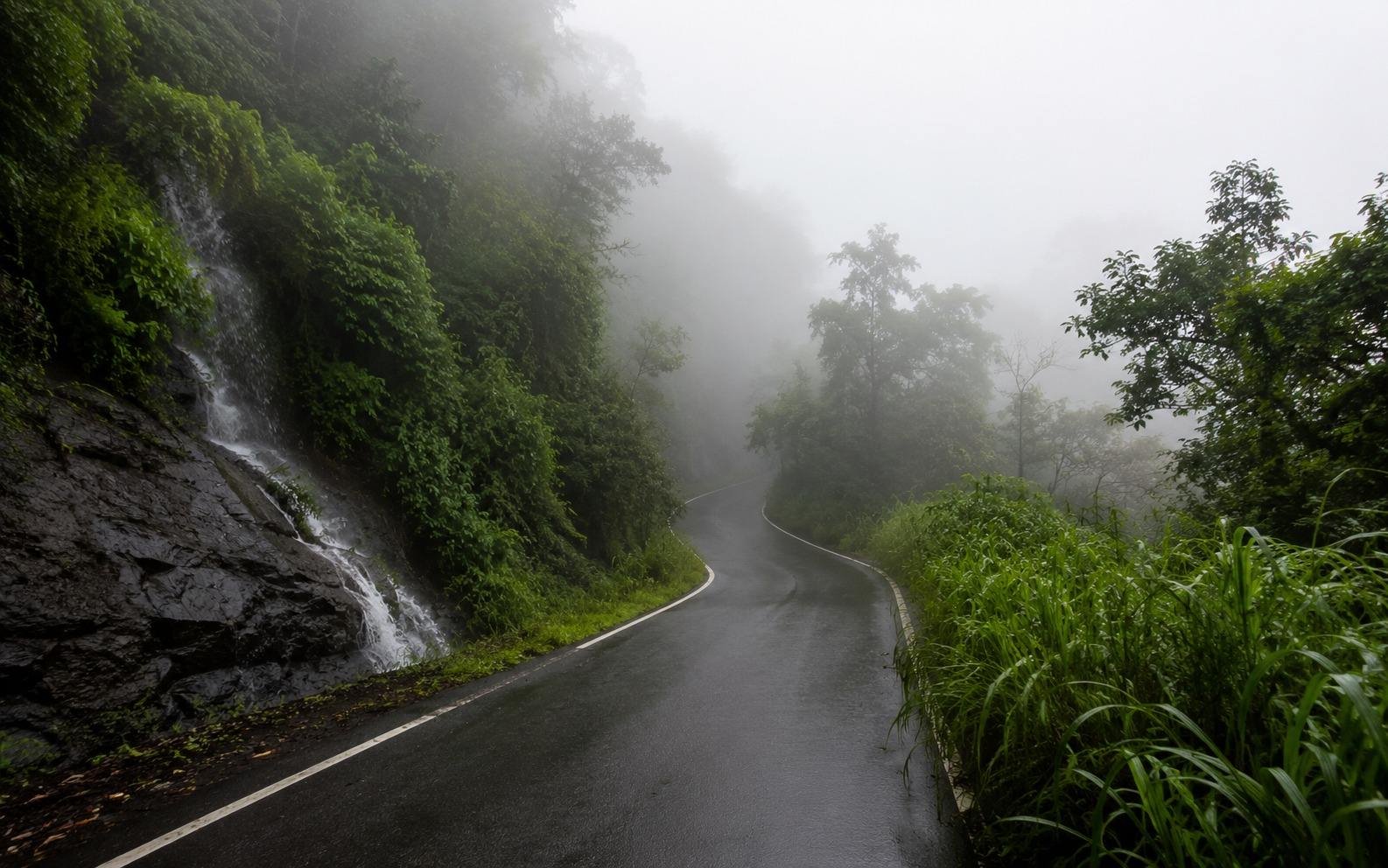 Foggy winding ghat road cutting through dense green forest at Tamhini