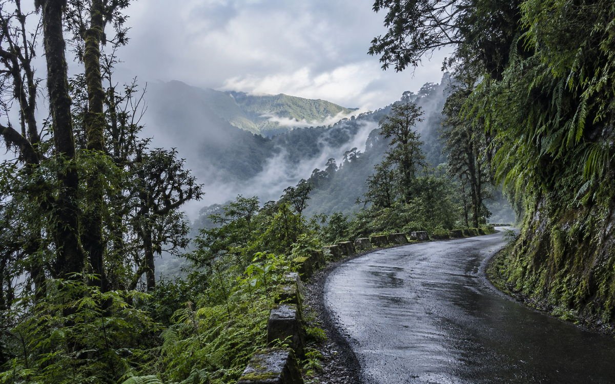 A misty forest road climbing toward Mayudia Pass above Roing in Lower Dibang Valley, Arunachal Pradesh
