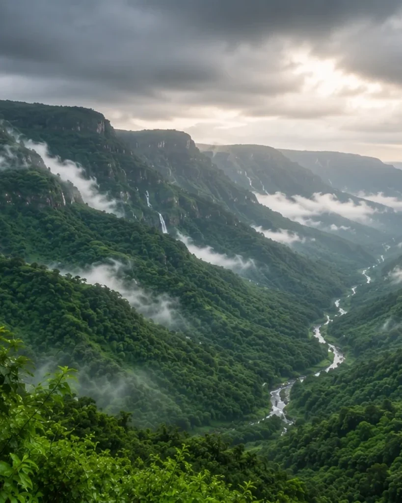 Misty green valley and rolling monsoon clouds at Malshej Ghat, Maharashtra