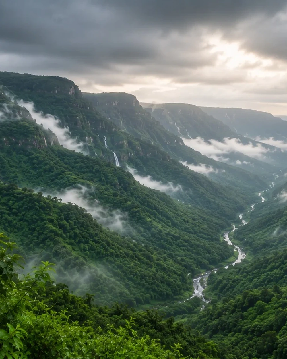 A Slow Weekend in Malshej Ghat: Waterfalls, Foggy Roads, and Village Food