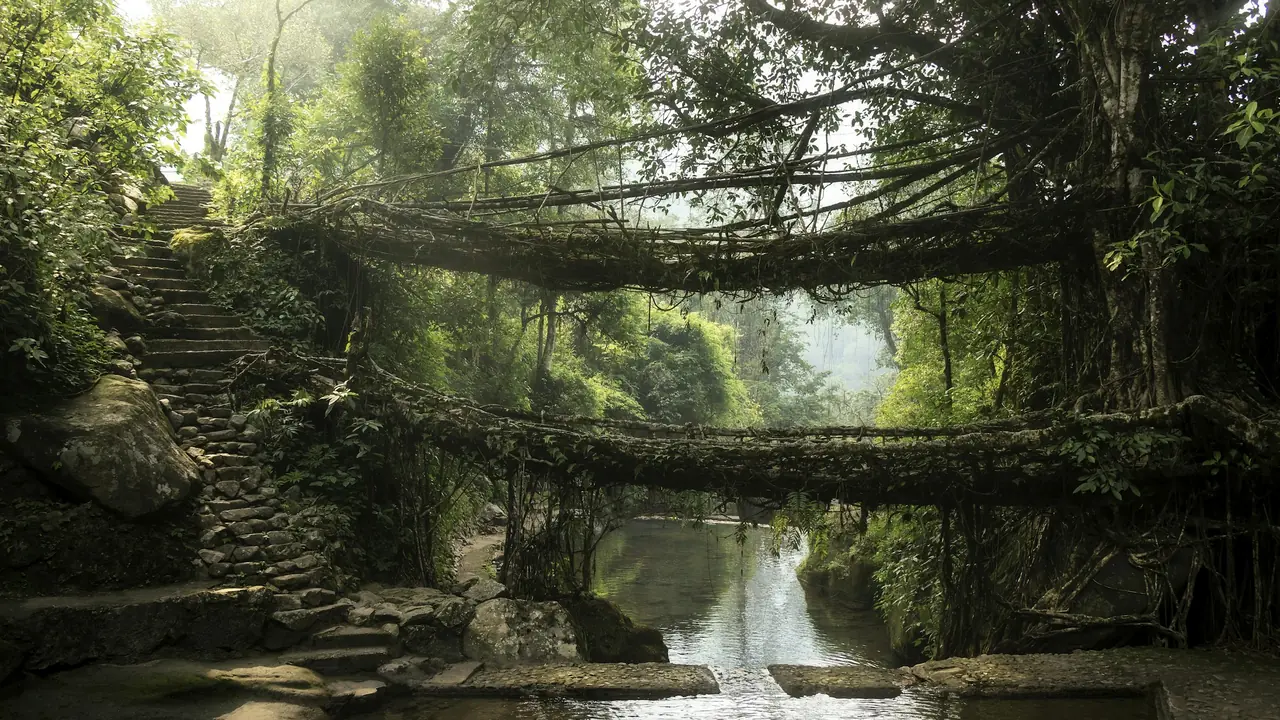 The double-decker living root bridge at Nongriat, Meghalaya